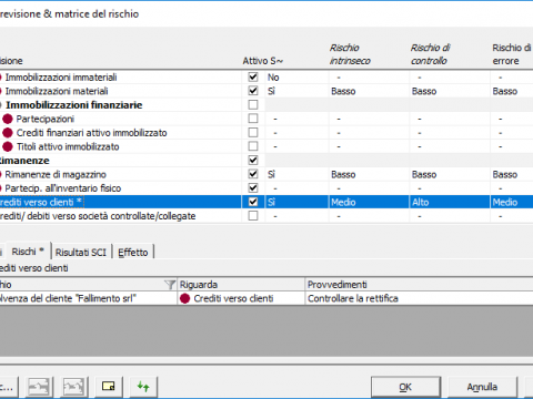 Aree di revisione e matrice del rischio